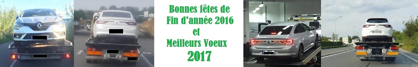 meilleurs voeux